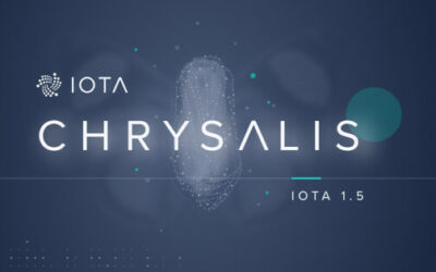 IOTA Awards $2.36 Million in Grants to 20 Blockchain Projects
