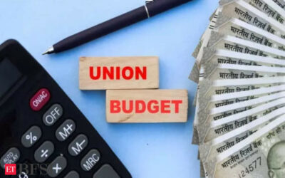 Budget 2024 struck a fine balance, tax changes to spur consumption: Economists, ET BFSI