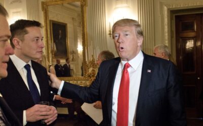 Elon Musk, Bill Ackman say they are endorsing Trump for president