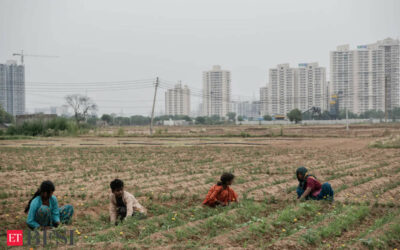 India’s covid-year employment spike led by agriculture: RBI Data, ET BFSI