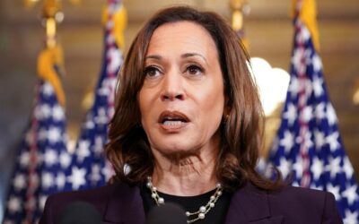 Kamala Harris fundraiser White Dudes for Harris