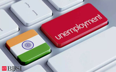 Official employment data masks India’s jobs problem, say economists, ET BFSI