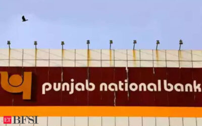 Punjab National Bank signs pact with SAIL to offer loans, ET BFSI