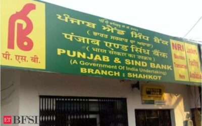 Punjab & Sind Bank plans to raise Rs 2,000 cr via QIP likely in H2 FY25, ET BFSI