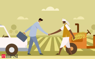 Rural borrowers share in microfinance space scales to 10-year-high, ET BFSI