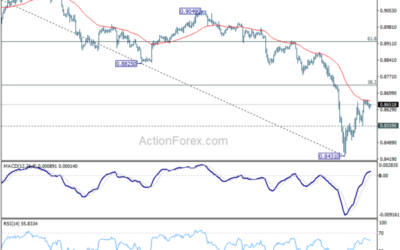 USD/CHF Weekly Outlook – Action Forex