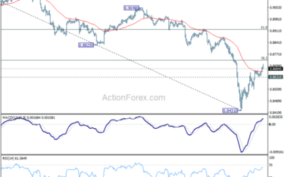 USD/CHF Mid-Day Outlook – Action Forex