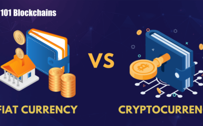 Fiat Currency vs Cryptocurrency: Key Differences