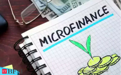 Heatwave, elections caused a sequential squeeze in India’s microfinance sector, ET BFSI