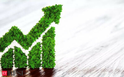 Mufin Green Finance board approves Rs 30 crore fund raising via NCDs, ET BFSI