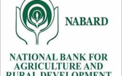 NABARD issues admit cards for Grade A Recruitment Exam 2024