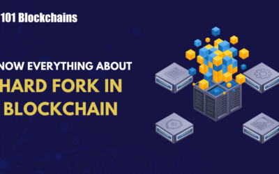 What is Hard Fork in Blockchain & How Does it Work?