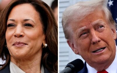 Harris beats Trump is CNBC Fed Survey most likely outcome