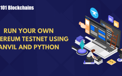 How to Run Your Own Ethereum Testnet using Anvil and Python?