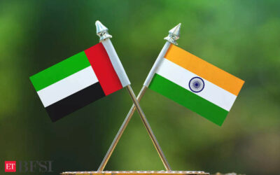 India, UAE investment promotion, protection treaty comes into effect from Aug 31: FinMin, ET BFSI