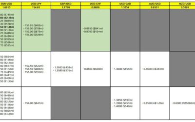 FX option expiries for 13 November 10am New York cut