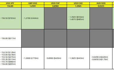 FX option expiries for 25 November 10am New York cut