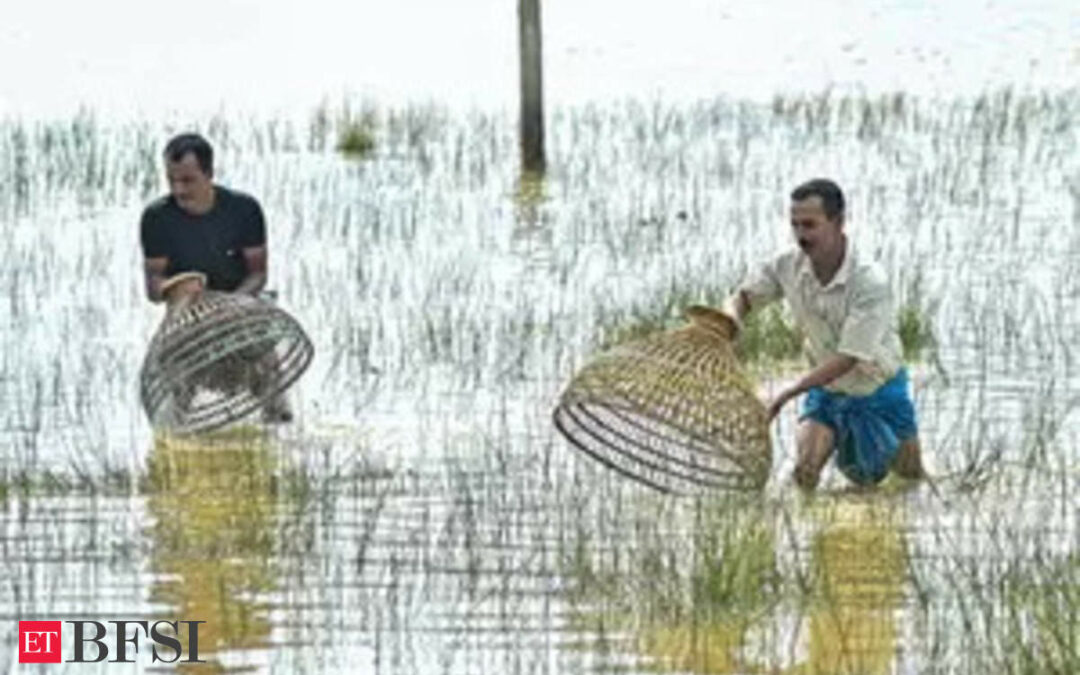 FinMin asks PSU banks to take steps to meet loan targets for agri-allied sector, ET BFSI