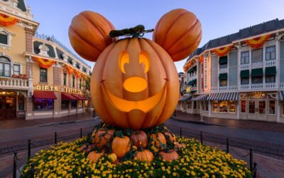 How Disney turns over its parks between Halloween and winter holidays