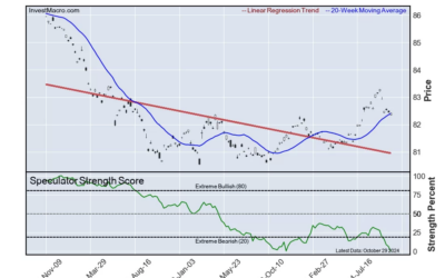 Platinum, Australian Dollar & Steel lead Bullish Bets :: InvestMacro