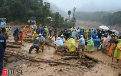 RBI Declines to Waive Loans for Wayanad Landslide Victims, BFSI News, ET BFSI