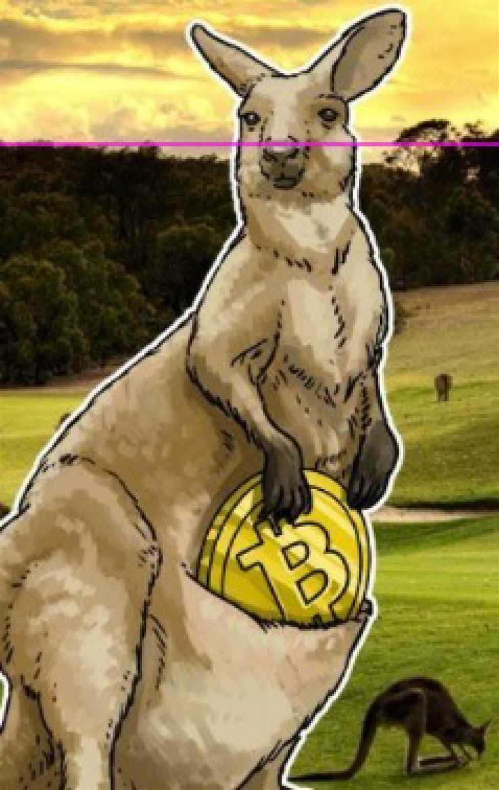 Australia regulator pursuing Binance Australia Derivatives re consumer protection failures