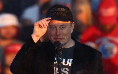 Elon Musk endorses far-right Alternative for Germany party in election