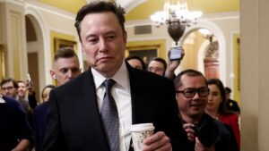 House Democrats say GOP caved to Elon Musk protecting China