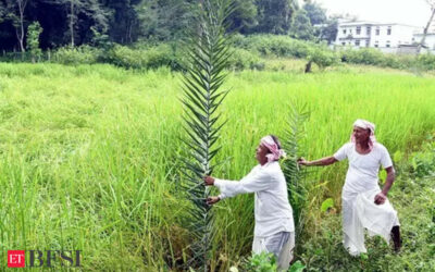 Inflation prompts India cenbank to raise agri loan limit, ET BFSI