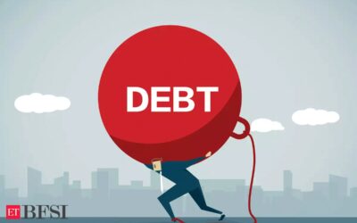 What is Public Debt, and how does the Debt-to-GDP Ratio work?, ET BFSI