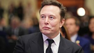 Musk is courting Germanys far right European leaders cant do