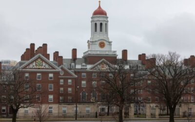 Harvard University rejects Trump demand on DEI, imperils funding