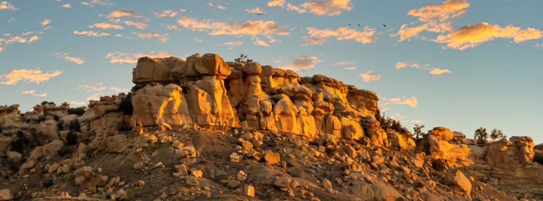 New Mexico State Income Tax Guide