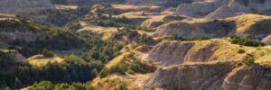 North Dakota State Income Tax Guide