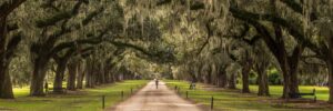 South Carolina State Income Tax Guide