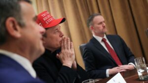 Tesla TSLA earnings report Q1 2025