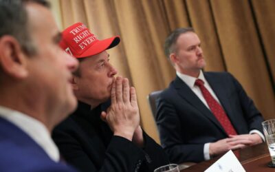 Tesla (TSLA) earnings report Q1 2025
