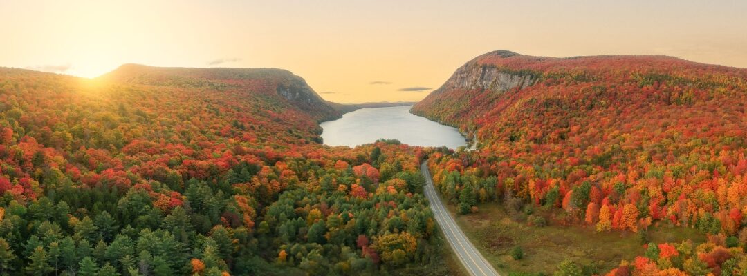 Home Overview Forex 124 Vermont State Income Tax Guide