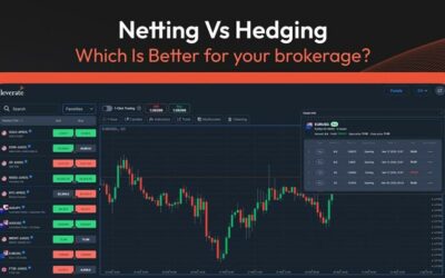 What Sets Netting and Hedging Position Accounting Models Apart in Brokerage?