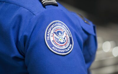 White House names McNeill acting head of Transportation Security Administration