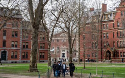 White House says Harvard letter was ‘unauthorized’: NYT