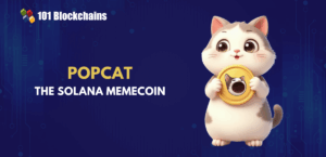 A Deep Dive into Popcat The Solana Memecoin