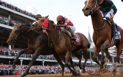 How horse owners invest and potentially earn millions
