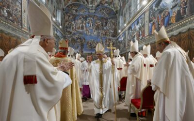 Pope Leo tells cardinals they must continue ‘precious legacy’ of Pope Francis