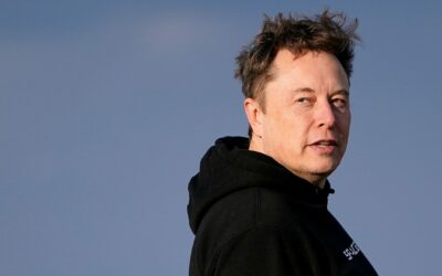 Tesla shares fall on report that company’s board seeks new CEO to replace Elon Musk