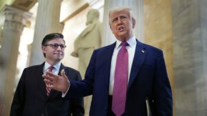 Trump Medicaid Congress bill