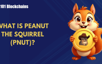 What is Peanut the Squirrel (PNUT) and How Does it Work?