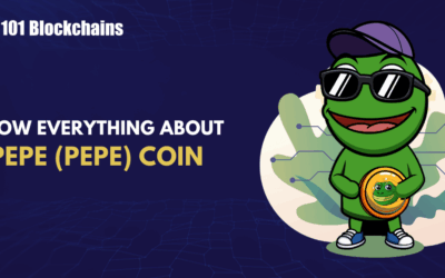 What is Pepe (PEPE) Coin and How Does It Work?