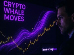 Crypto Whale Analysis Notable Transfers of the Past Couple of