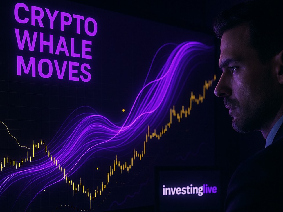 Crypto Whale Analysis Notable Transfers of the Past Couple of